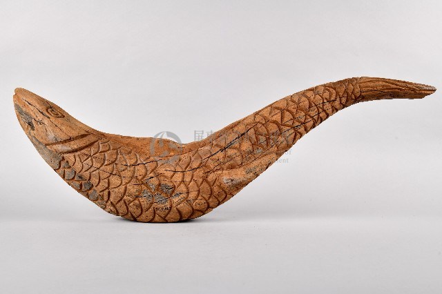 福拉鳥魚藏品圖，第1張