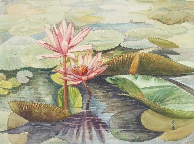 睡蓮藏品圖，第1張
