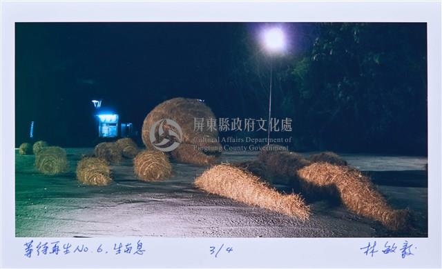 等待再生No.6生與息ⅠⅠⅠ藏品圖，第1張