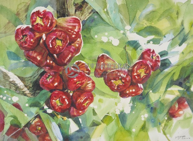黑珍珠藏品圖，第1張