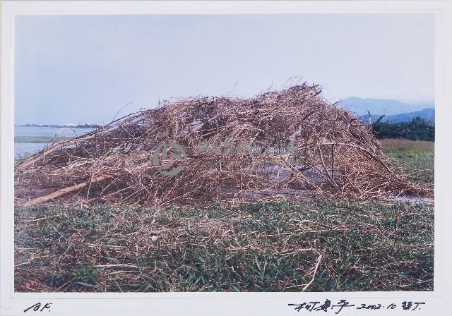 覆‧巢藏品圖，第1張