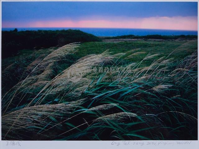 迎曦藏品圖，第1張