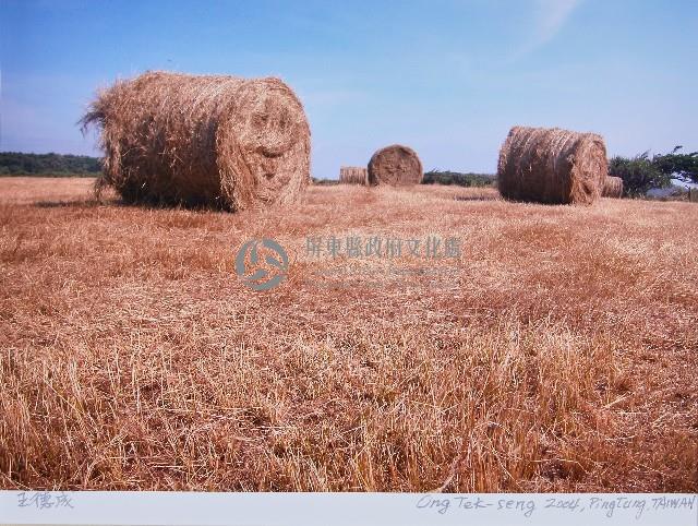 收成藏品圖，第1張