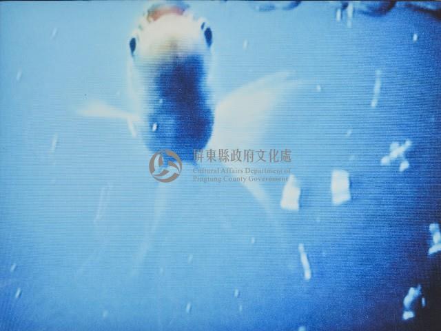 浮藏品圖，第1張