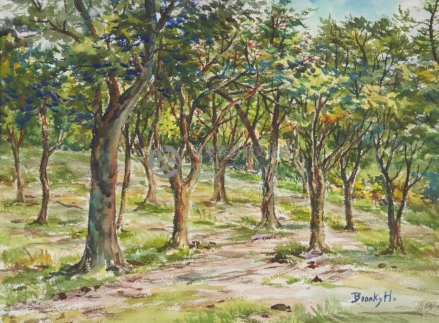 墾丁森林公園藏品圖，第1張