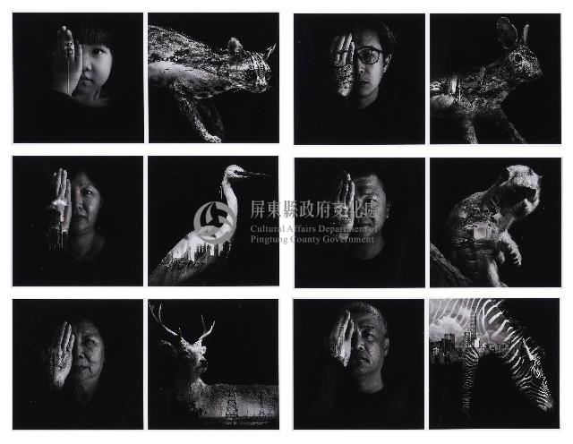 看見的，看不見藏品圖，第1張