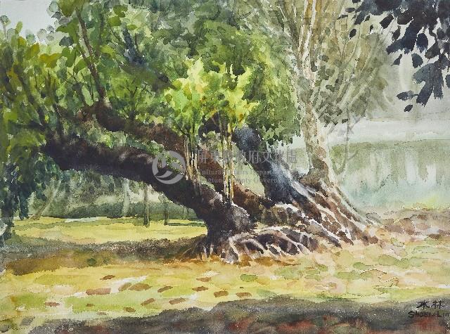 四棵樹藏品圖，第1張