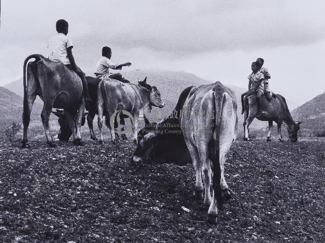 黃昏堤上藏品圖，第1張