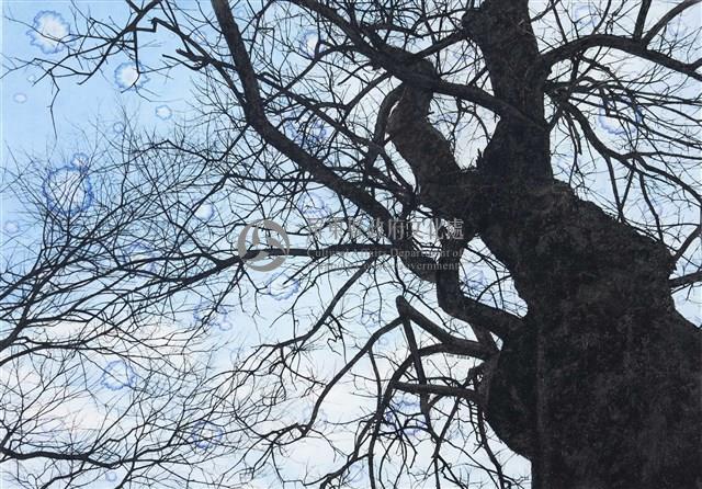 20164藏品圖，第1張