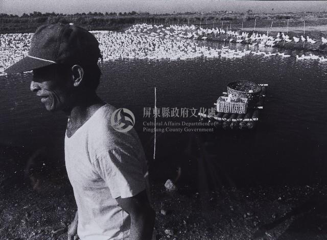 養鴨人家藏品圖，第1張