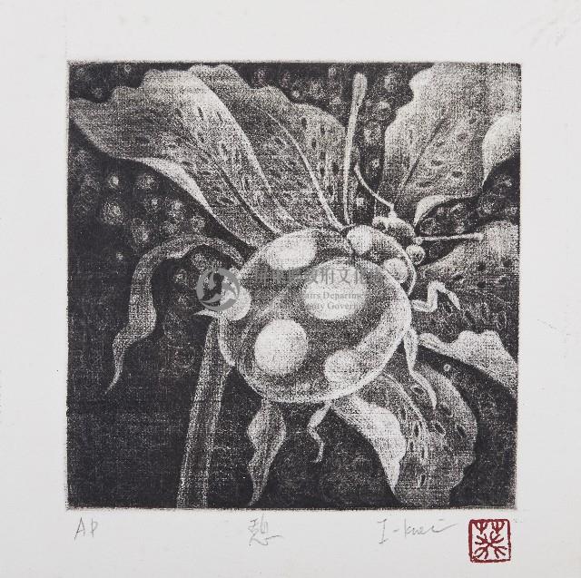 黑白瓢蟲畫-憩藏品圖，第1張