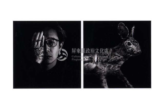 看見的，看不見-4藏品圖，第1張