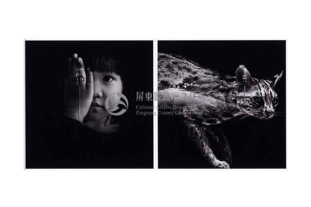 看見的，看不見-1藏品圖，第1張