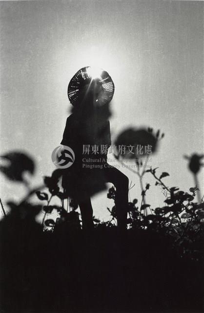 大武山下立斜陽藏品圖，第1張