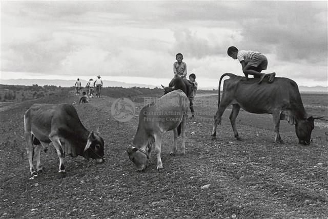 黃昏堤上藏品圖，第1張