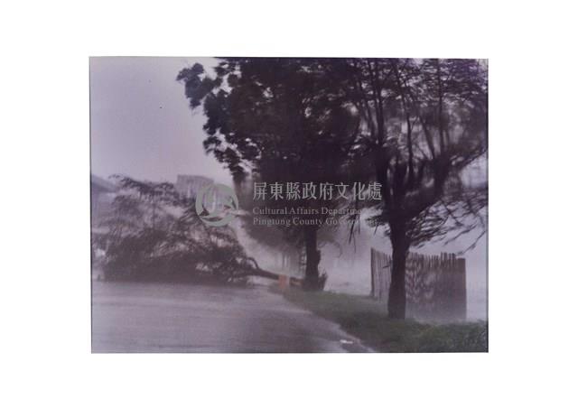 颱風即景藏品圖，第1張