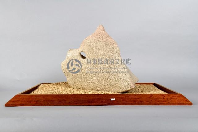 墾丁的蝴蝶藏品圖，第4張