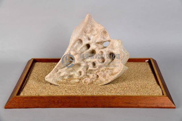 墾丁的蝴蝶藏品圖，第1張