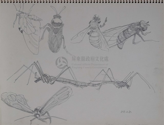 第八冊手稿藏品圖，第13張