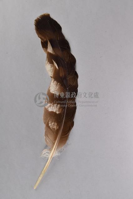 棕白色羽毛頭飾藏品圖，第3張