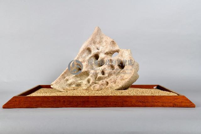 墾丁的蝴蝶藏品圖，第2張