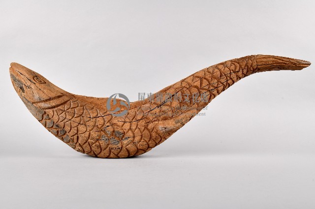 福拉鳥魚藏品圖，第1張