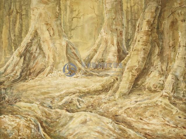 板根林木藏品圖，第1張