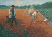 旱地藏品圖，第1張