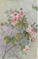 山芙蓉藏品圖，第1張