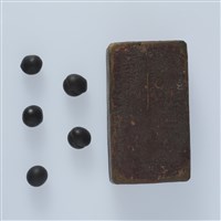 種子藏品圖，第1張