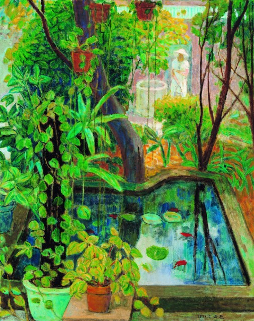 金魚池的圖片