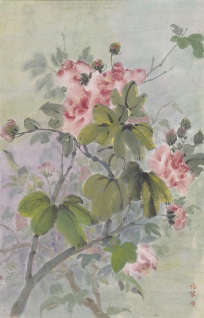 Taiwan Cotton-Rose