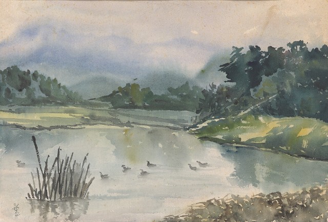 Ducks on the Water in Spring