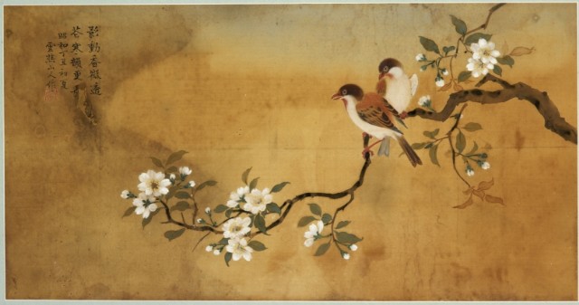 Heartwarming Scene of Love - Sparrows