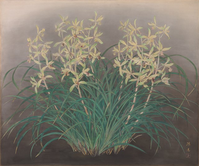 Orchids