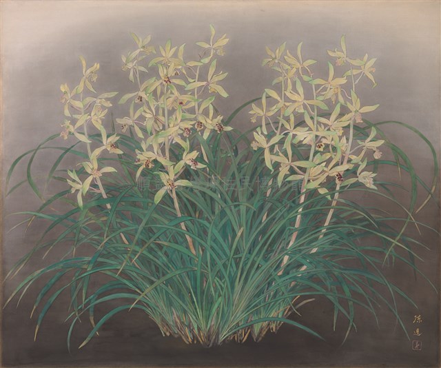 素心蘭藏品圖，第1張