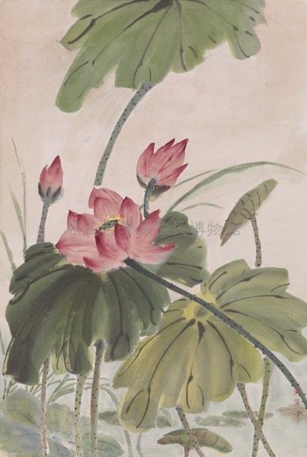 荷花藏品圖，第1張