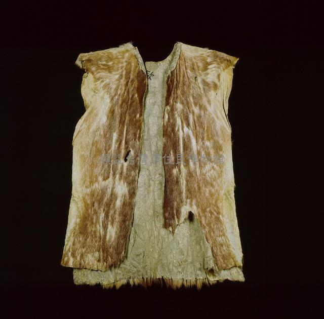 male skin garment Collection Image, Figure 2, Total 2 Figures