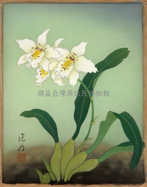 蘭花藏品圖，第1張