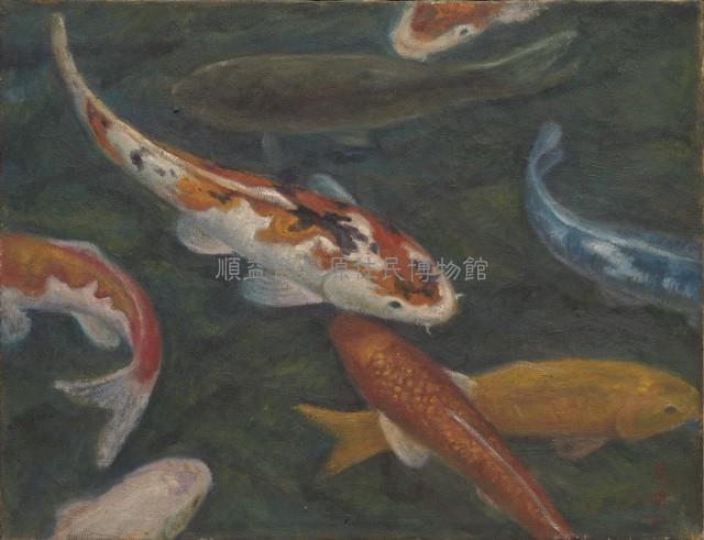 錦鯉魚藏品圖，第1張