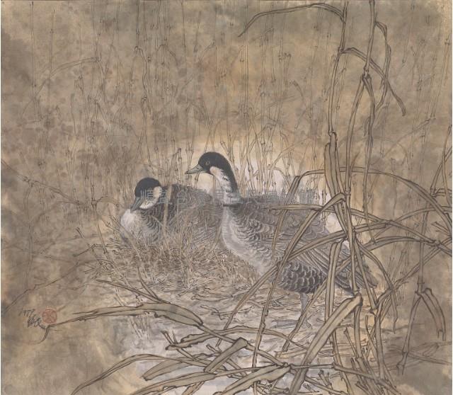 Pair of Geese Collection Image