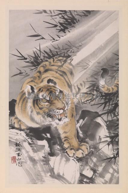 Tiger Collection Image