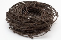 籐陷阱藏品圖，第5張