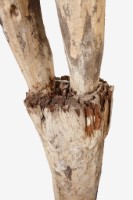 人像木雕藏品圖，第20張