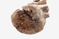 人像木雕藏品圖，第22張