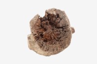 人像木雕藏品圖，第23張