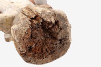 人像木雕藏品圖，第25張