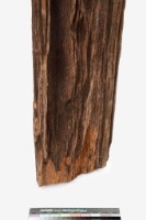 人像木雕藏品圖，第17張