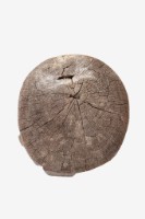 人像木雕藏品圖，第14張