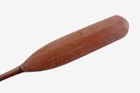 木槳藏品圖，第3張